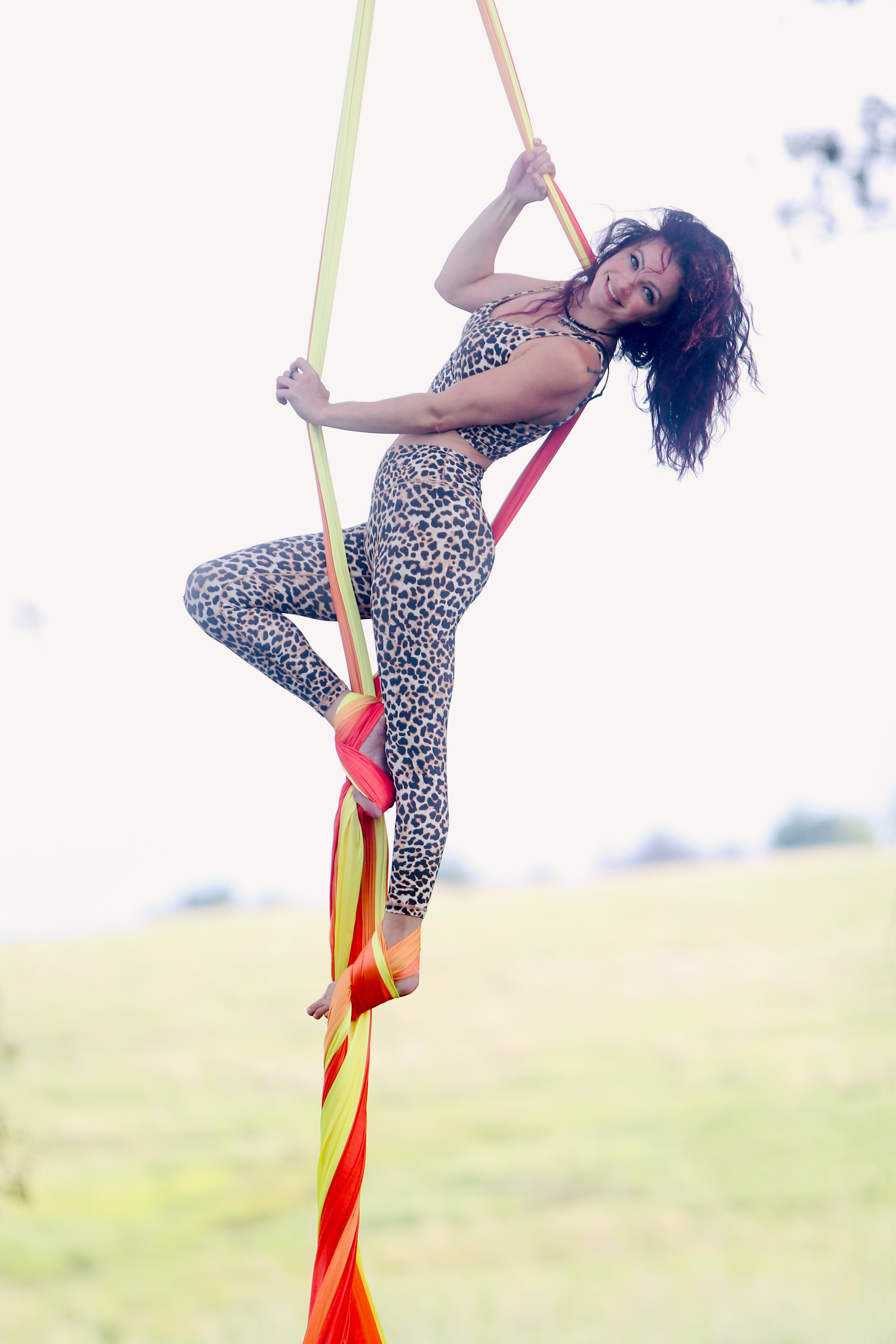 Aerial Silks